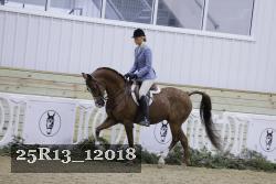 25R13_12018 proof