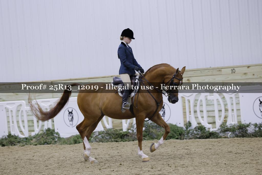 Proof 25R13_12019