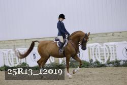 25R13_12019 proof