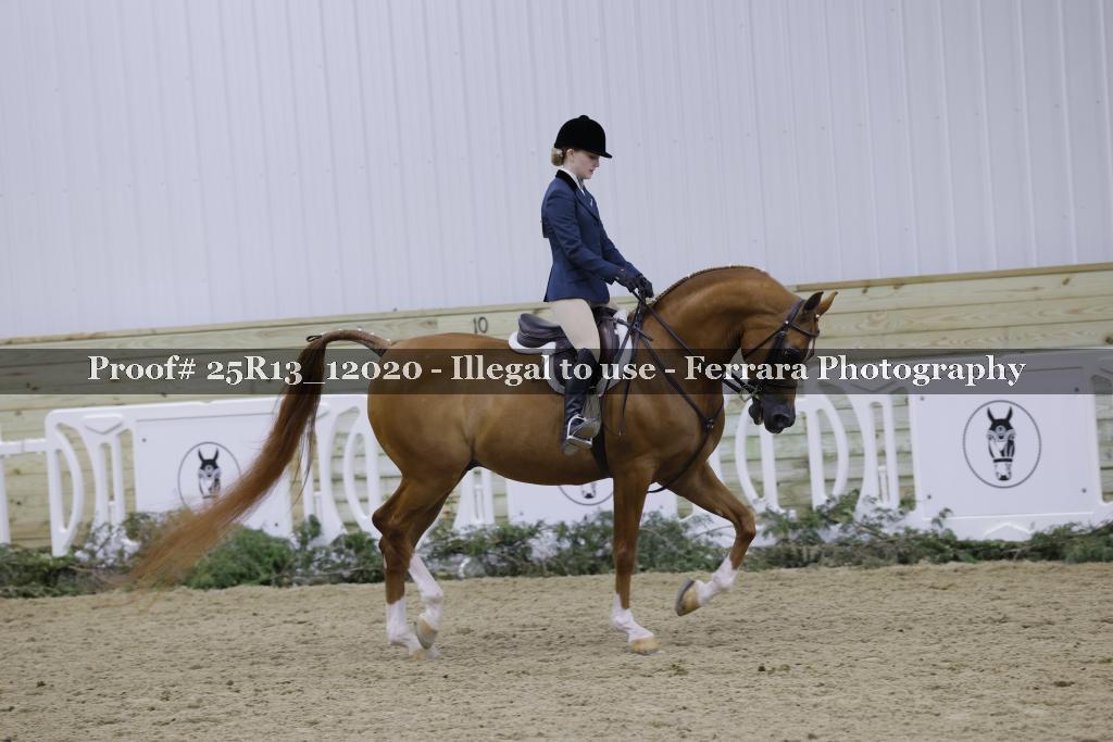 Proof 25R13_12020