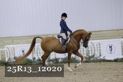 25R13_12020 proof
