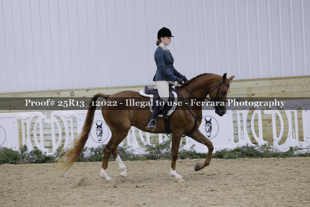 Proof 25R13_12022