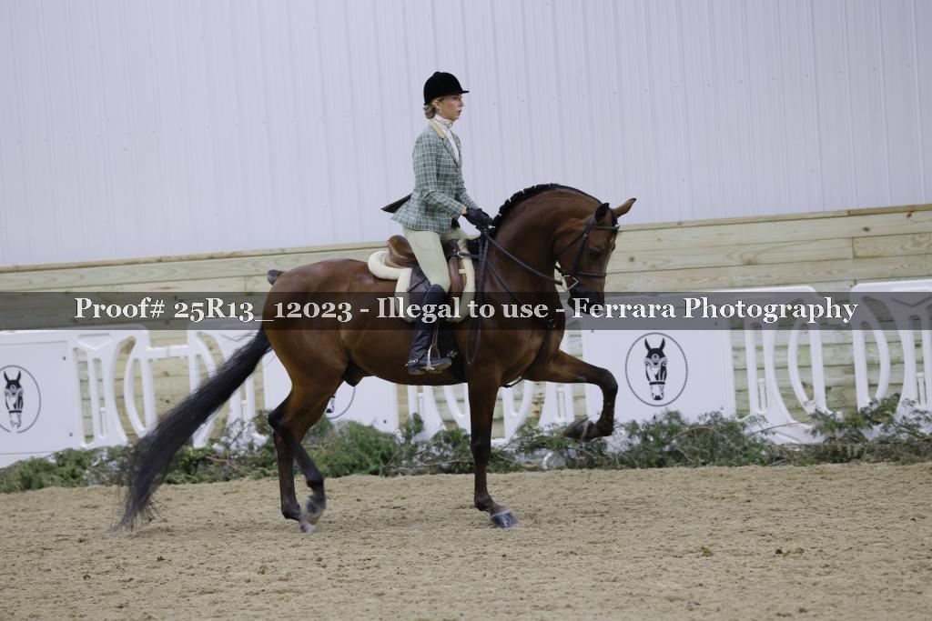 Proof 25R13_12023