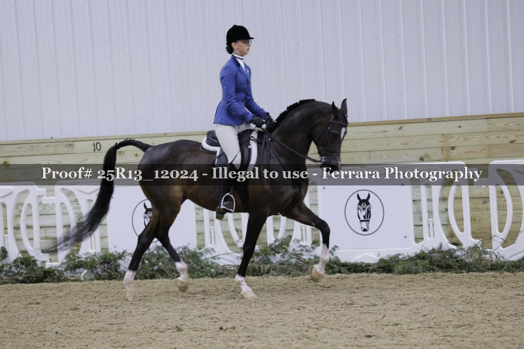 Proof 25R13_12024