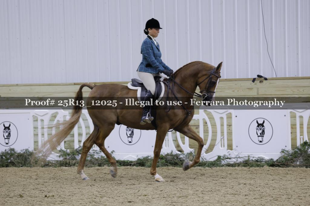 Proof 25R13_12025