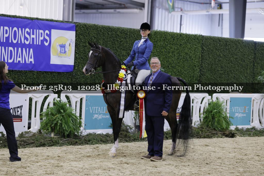 Proof 25R13_12028