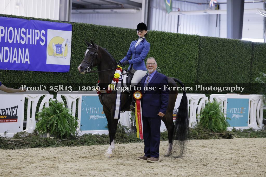 Proof 25R13_12029