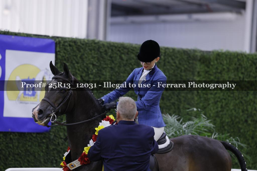 Proof 25R13_12031
