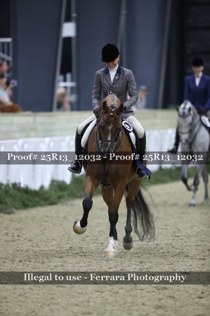 Proof 25R13_12032