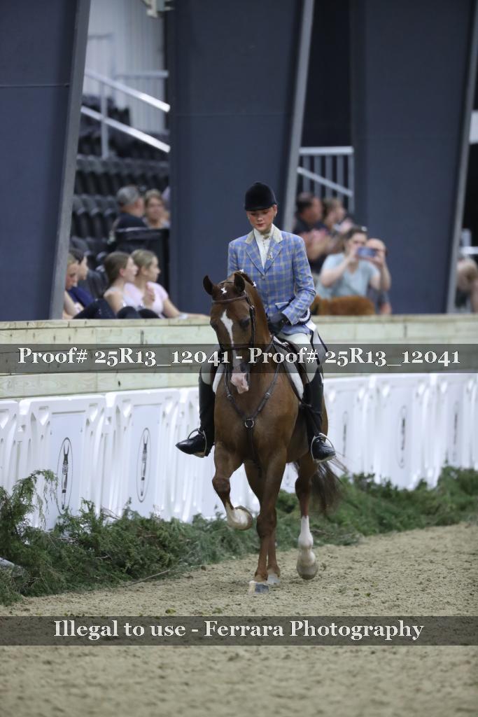 Proof 25R13_12041