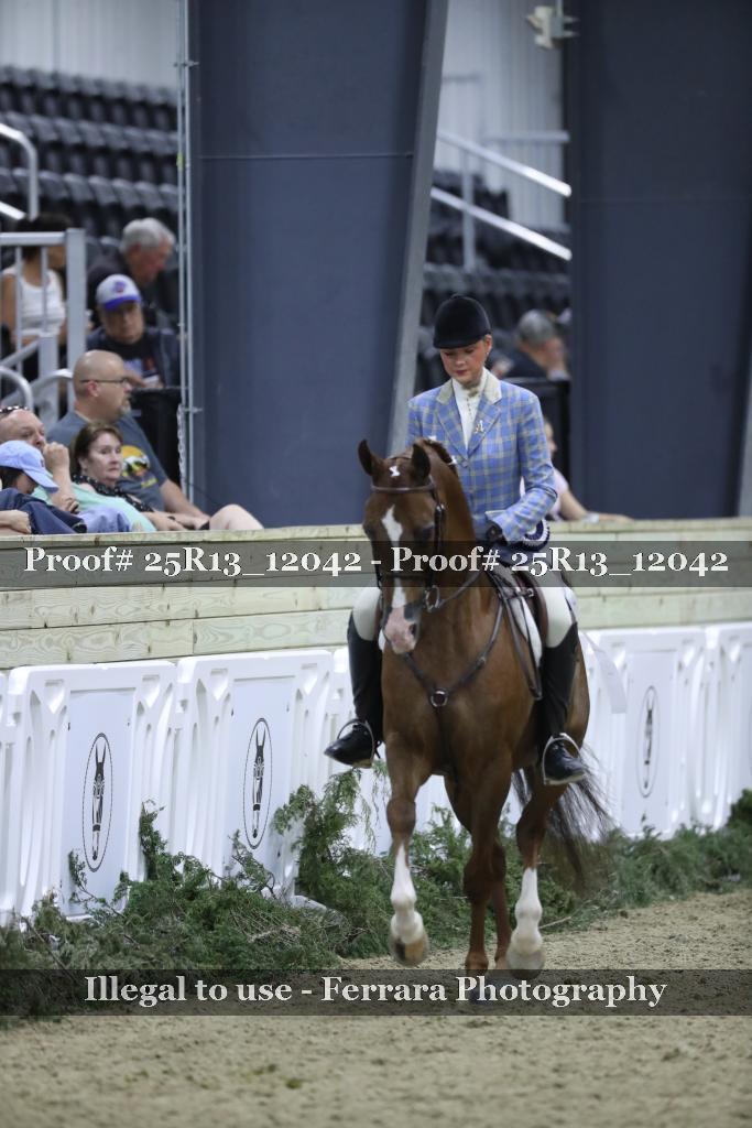 Proof 25R13_12042