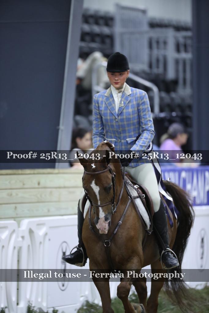 Proof 25R13_12043