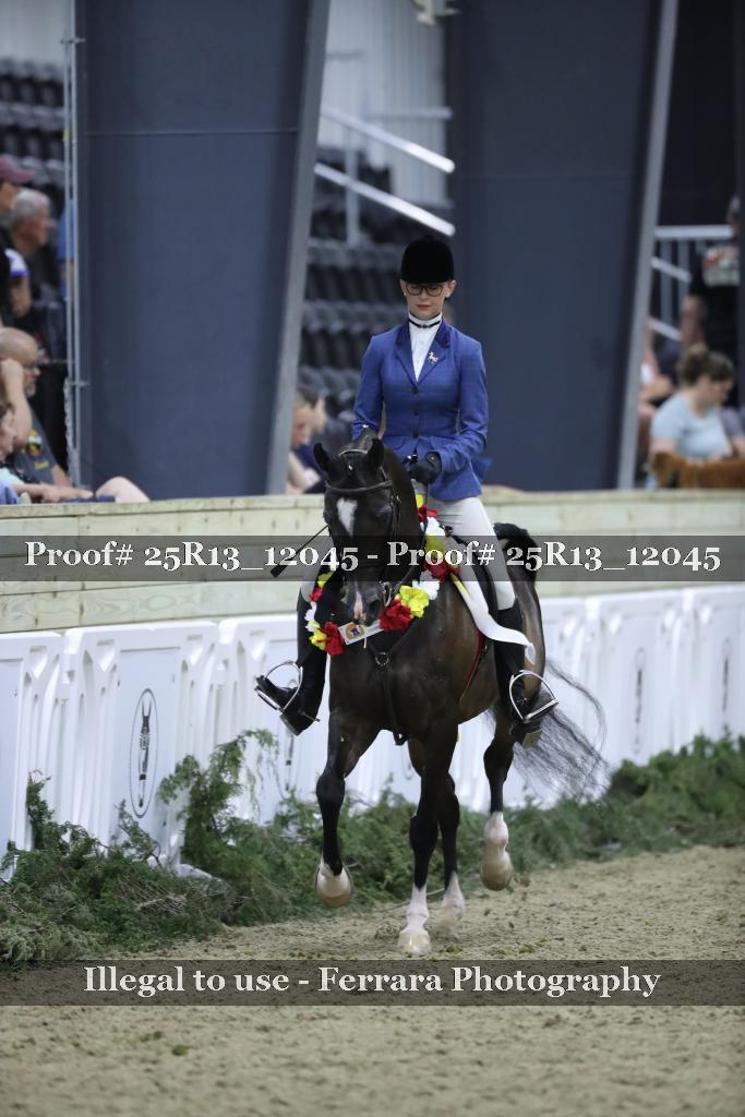 Proof 25R13_12045