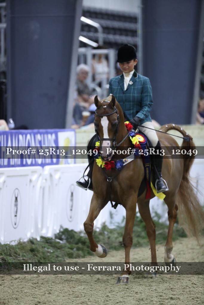 Proof 25R13_12049