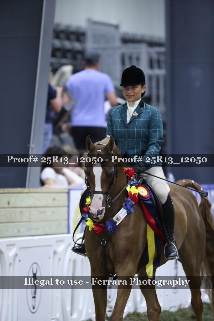 Proof 25R13_12050