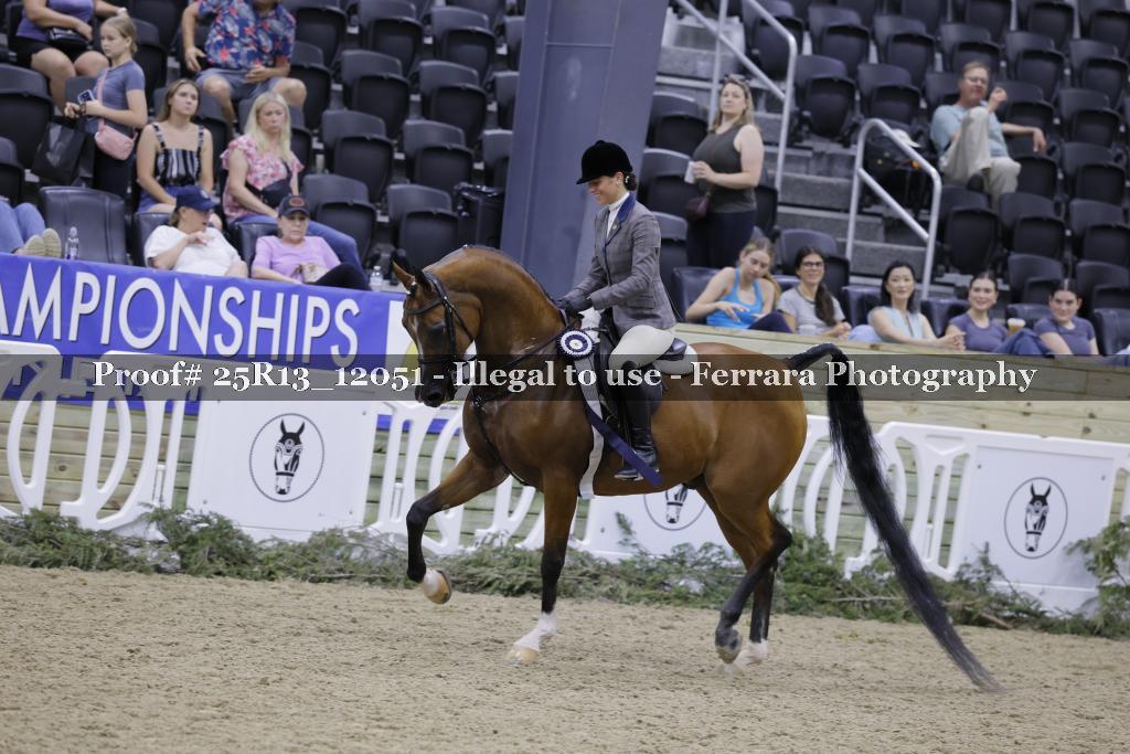 Proof 25R13_12051