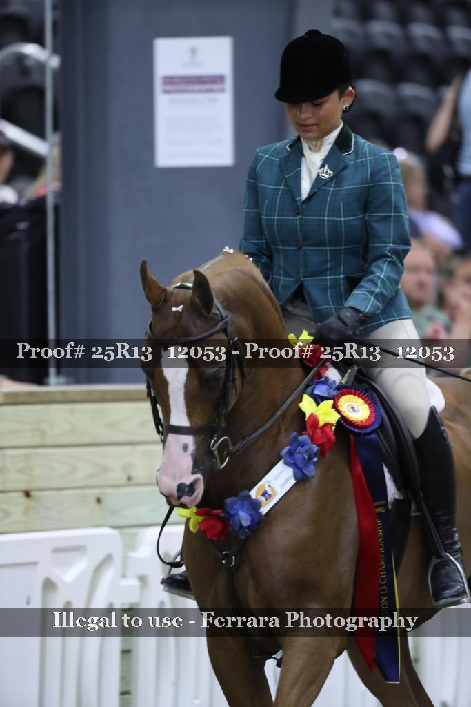 Proof 25R13_12053