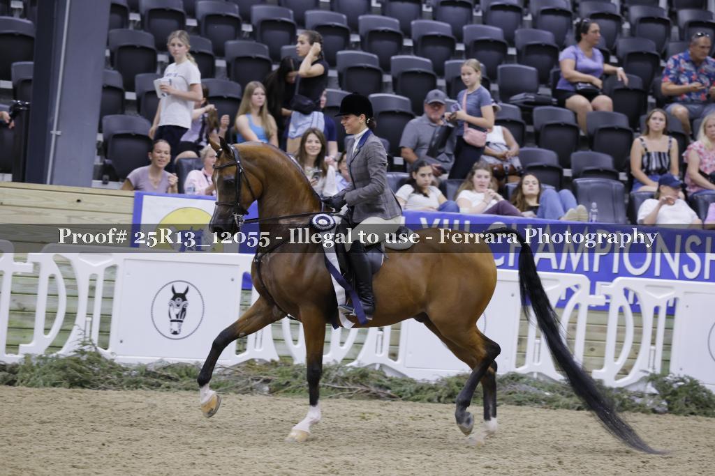 Proof 25R13_12055