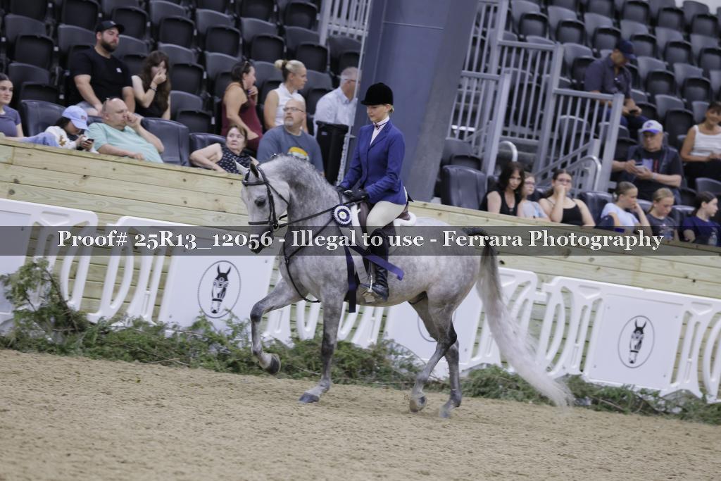 Proof 25R13_12056