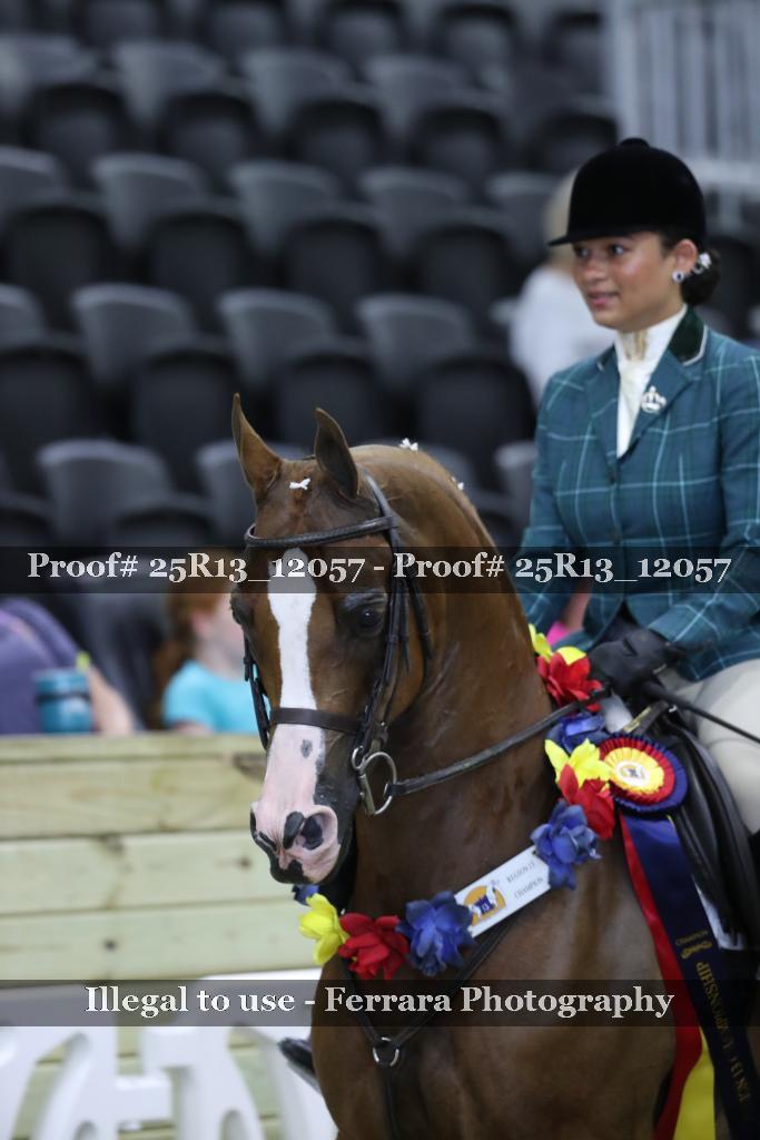Proof 25R13_12057