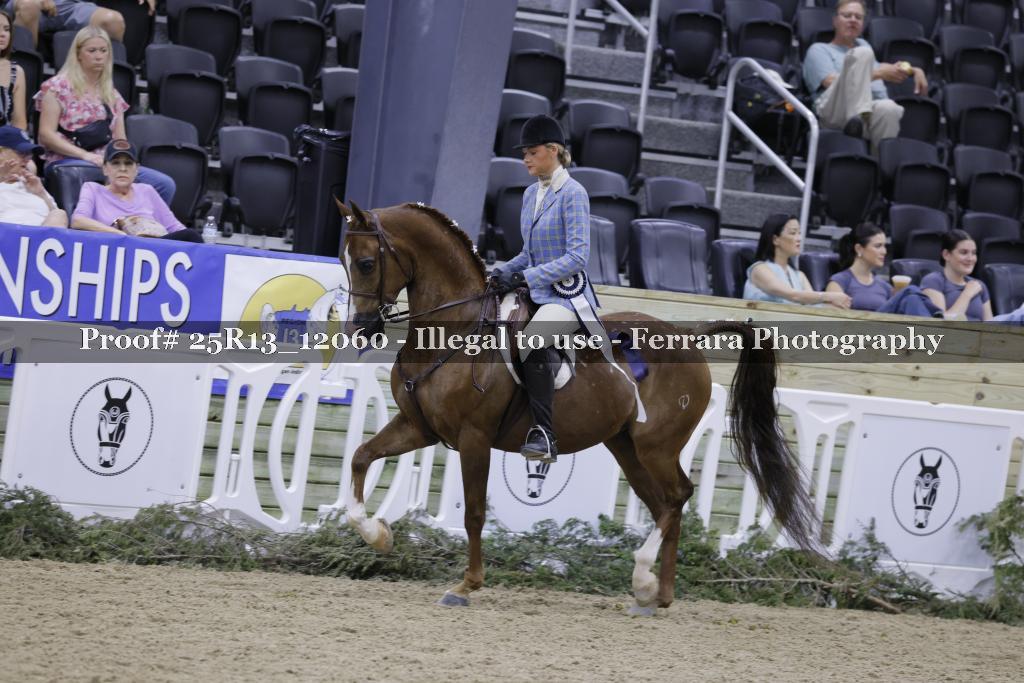 Proof 25R13_12060