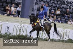 25R13_12063 proof