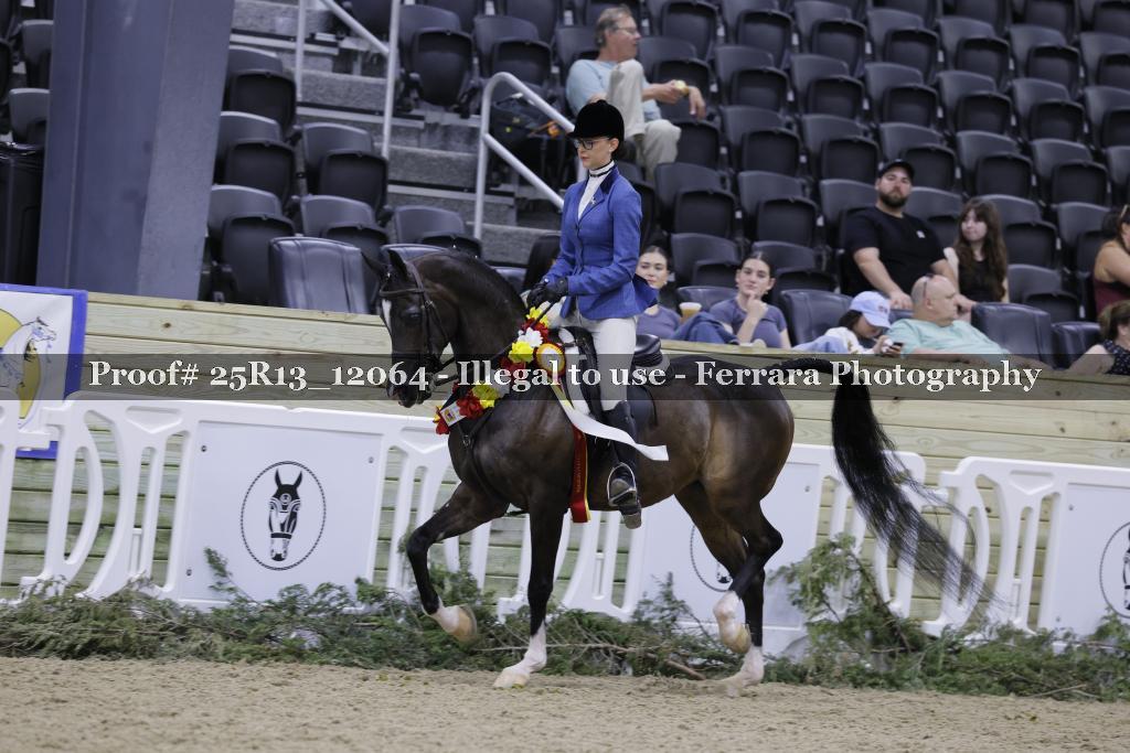 Proof 25R13_12064