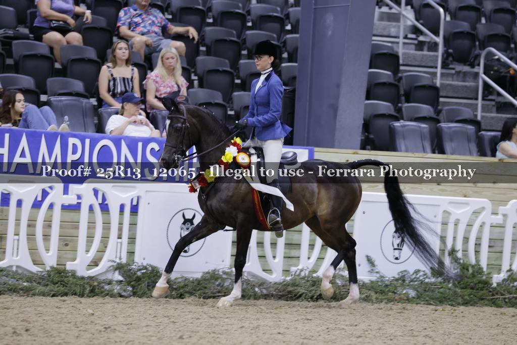 Proof 25R13_12065