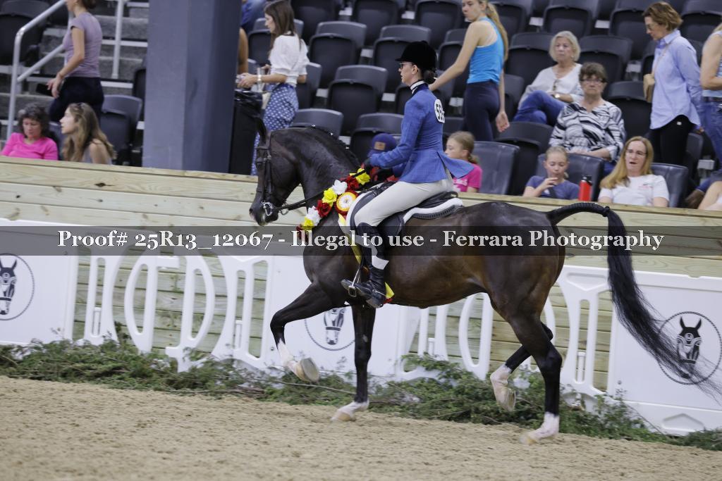 Proof 25R13_12067