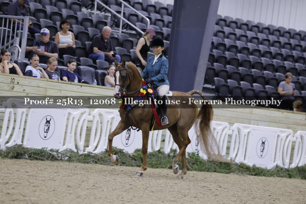 Proof 25R13_12068