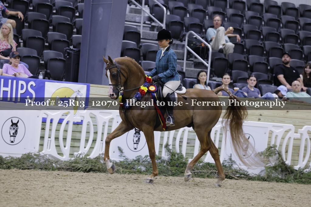 Proof 25R13_12070
