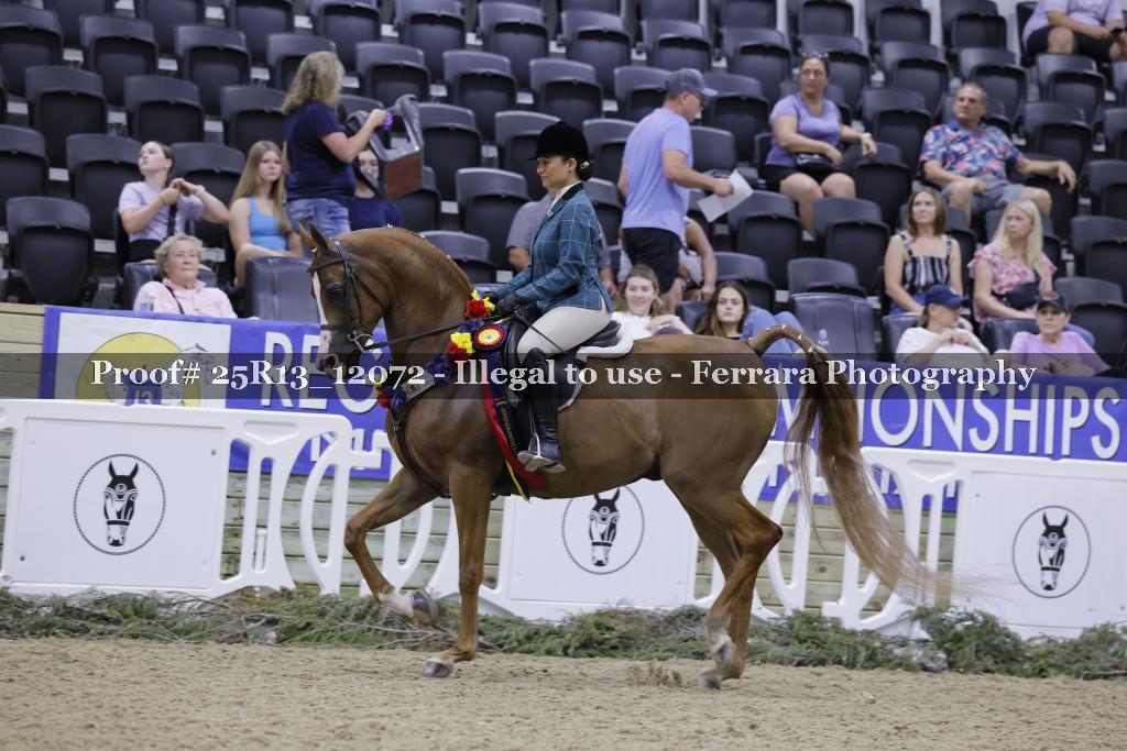 Proof 25R13_12072