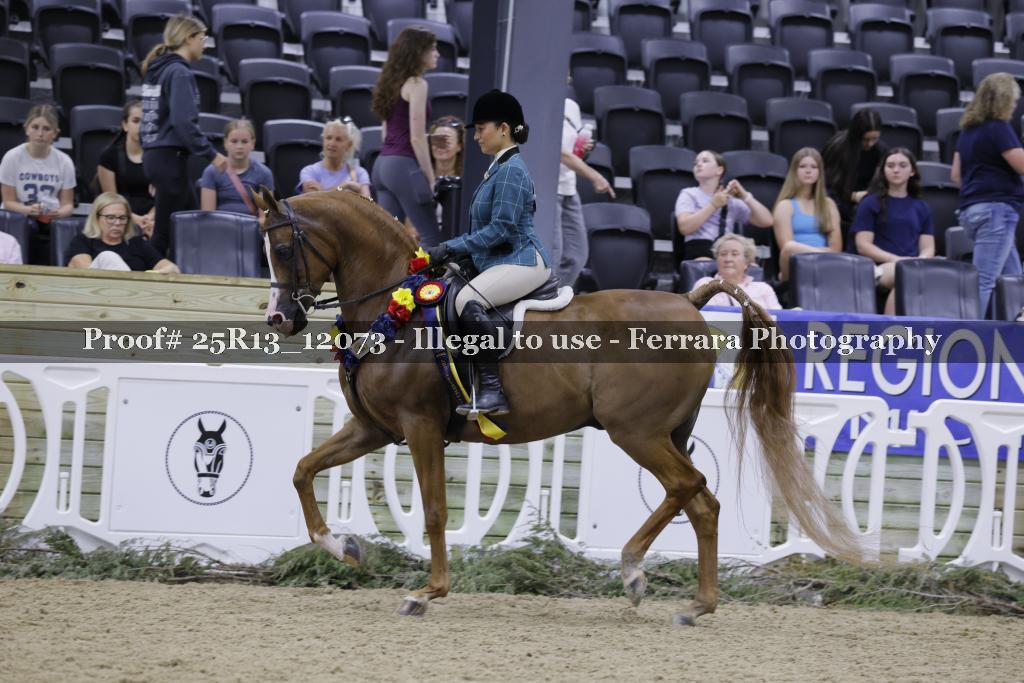 Proof 25R13_12073