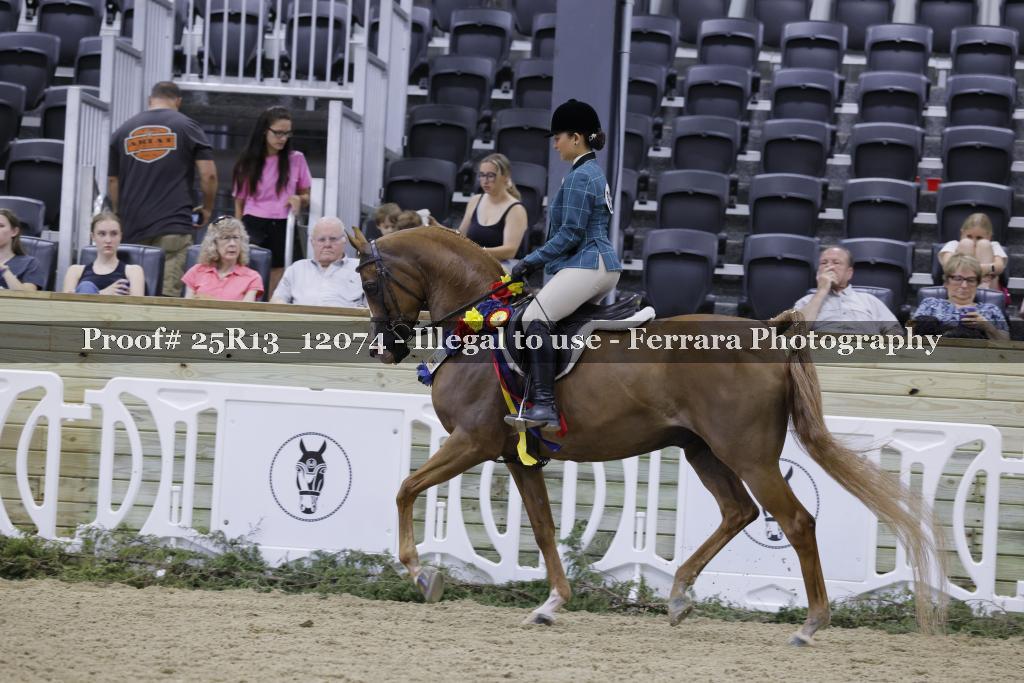 Proof 25R13_12074