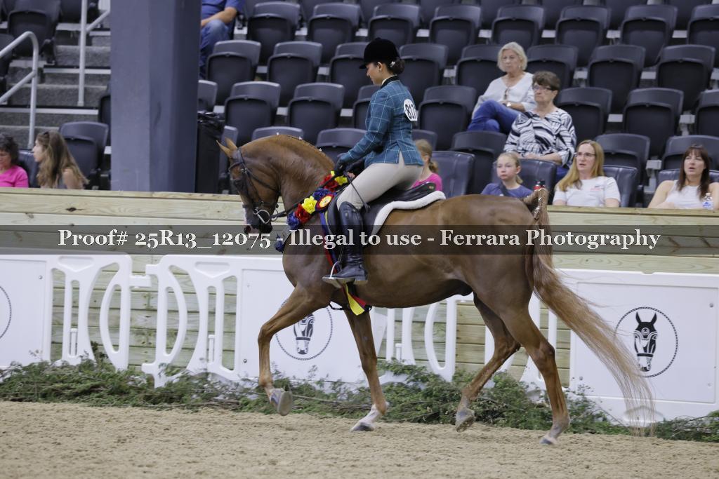 Proof 25R13_12075