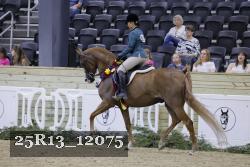 25R13_12075 proof