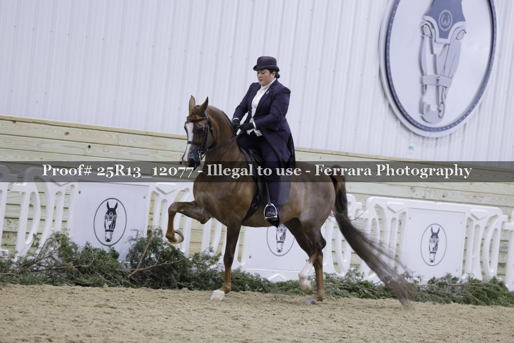 Proof 25R13_12077