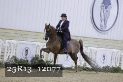 25R13_12077 proof