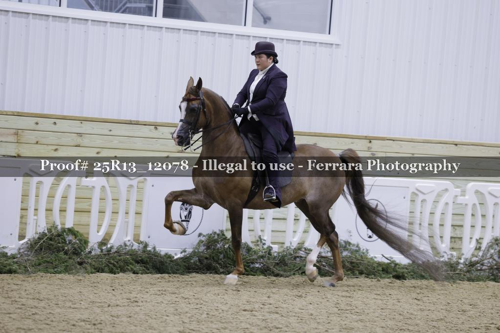 Proof 25R13_12078