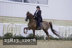 25R13_12078 proof