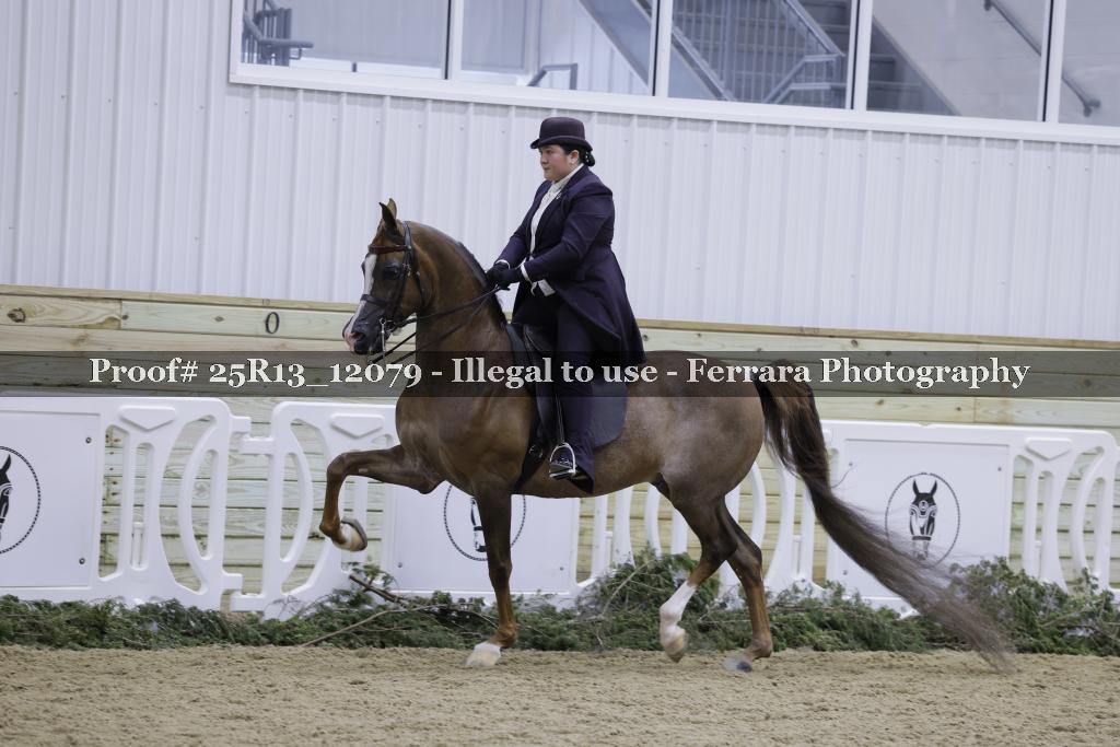 Proof 25R13_12079