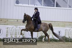 25R13_12079 proof