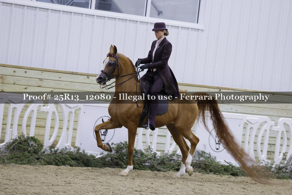 Proof 25R13_12080