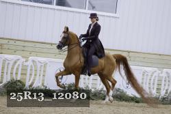 25R13_12080 proof
