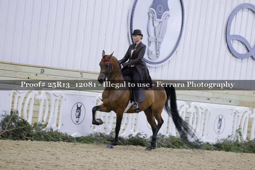 Proof 25R13_12081