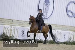 25R13_12081 proof