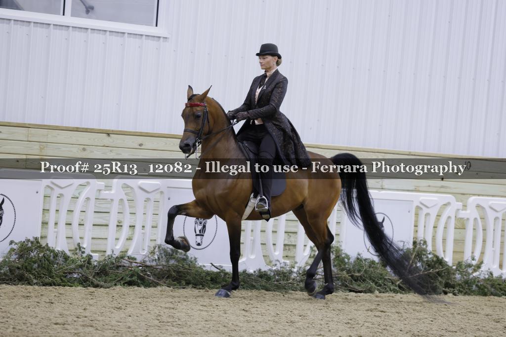 Proof 25R13_12082