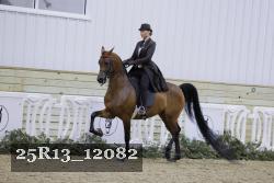 25R13_12082 proof