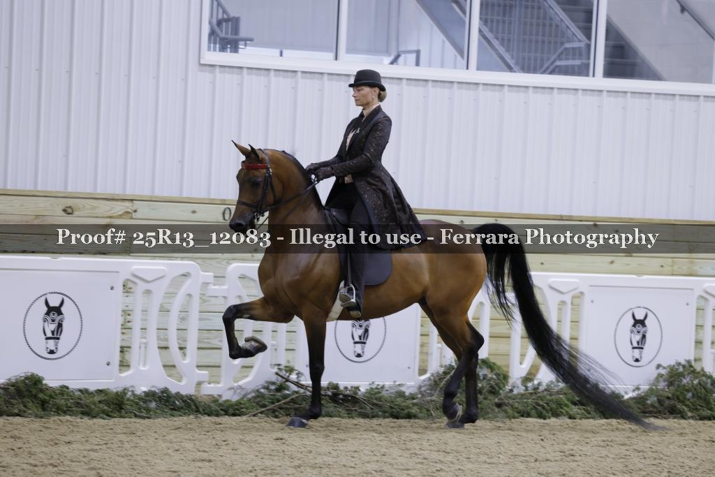 Proof 25R13_12083