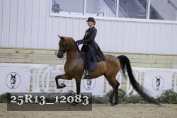 25R13_12083 proof